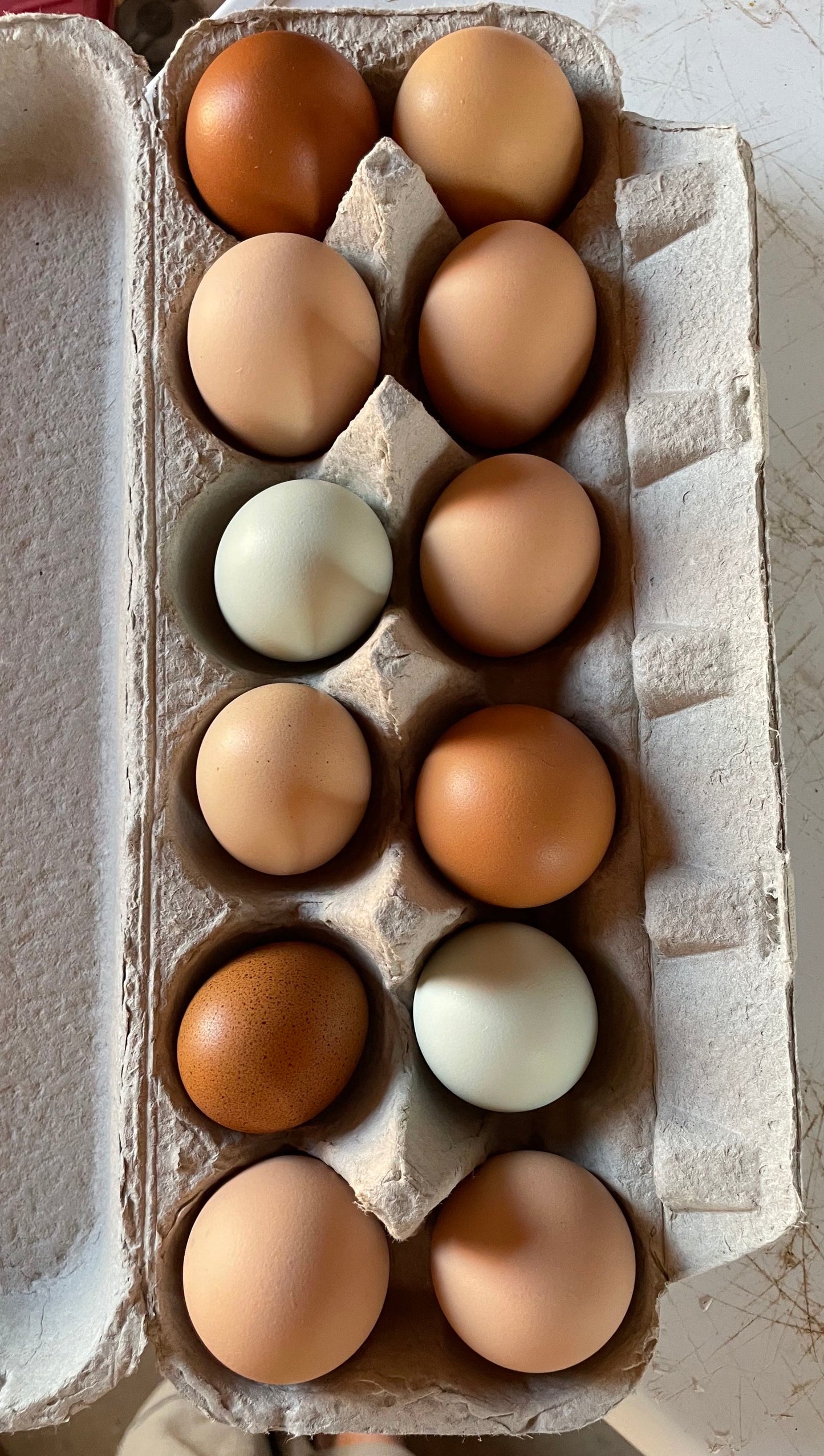 Eggs $6/dozen